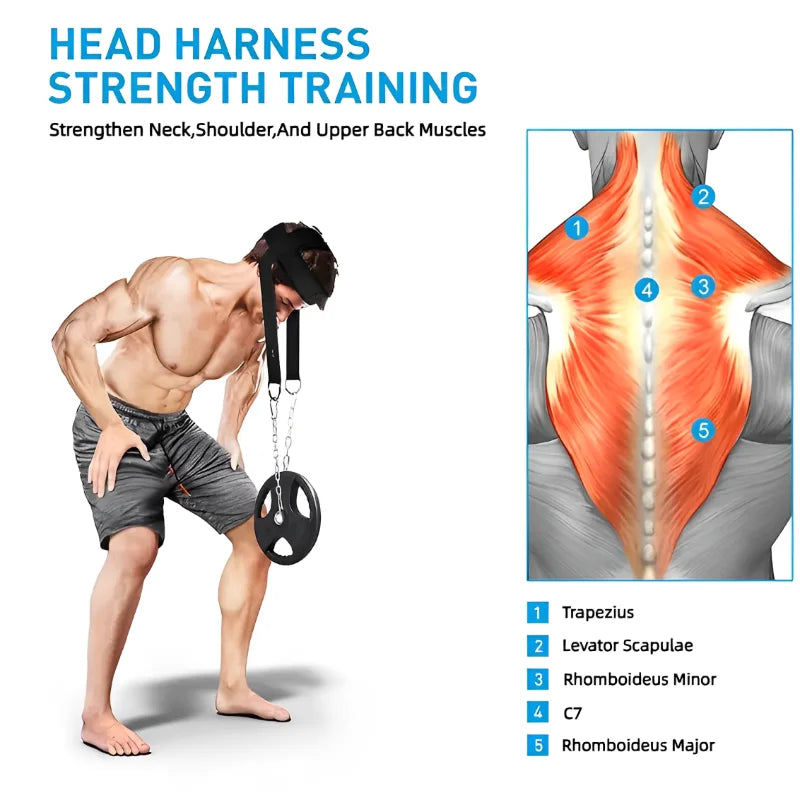 Spine Strap Adjuster